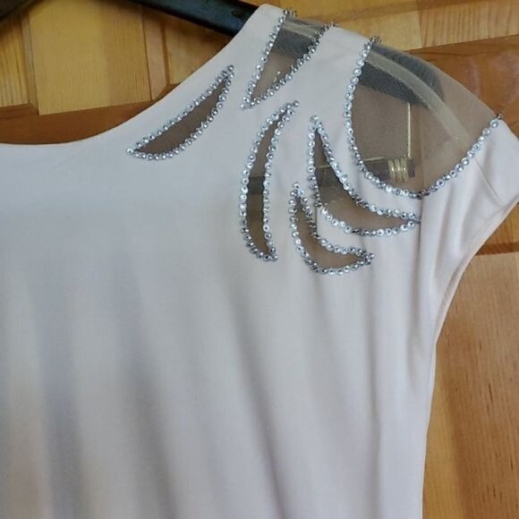 Badgley Mischka Collection Embellished Sheer Blush Maxi Event Lined Sz. 4 Dress - Picture 10 of 15